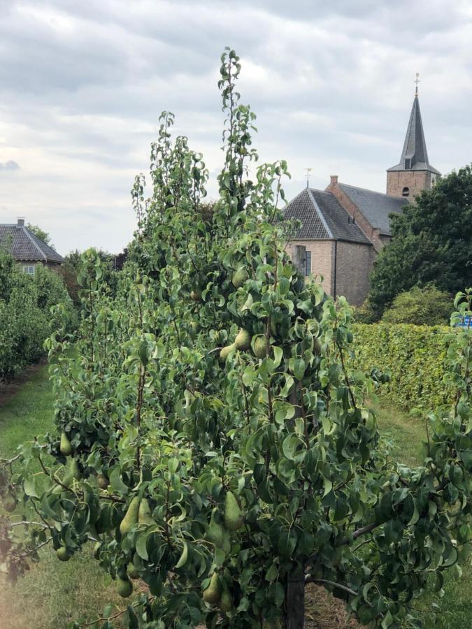 Gastenverblijf Op De Prins Hendrik Hoeve In Buren Buren  Екстер'єр фото