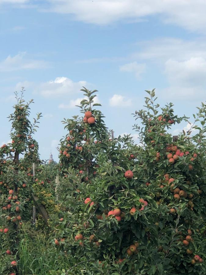 Gastenverblijf Op De Prins Hendrik Hoeve In Buren Buren  Екстер'єр фото