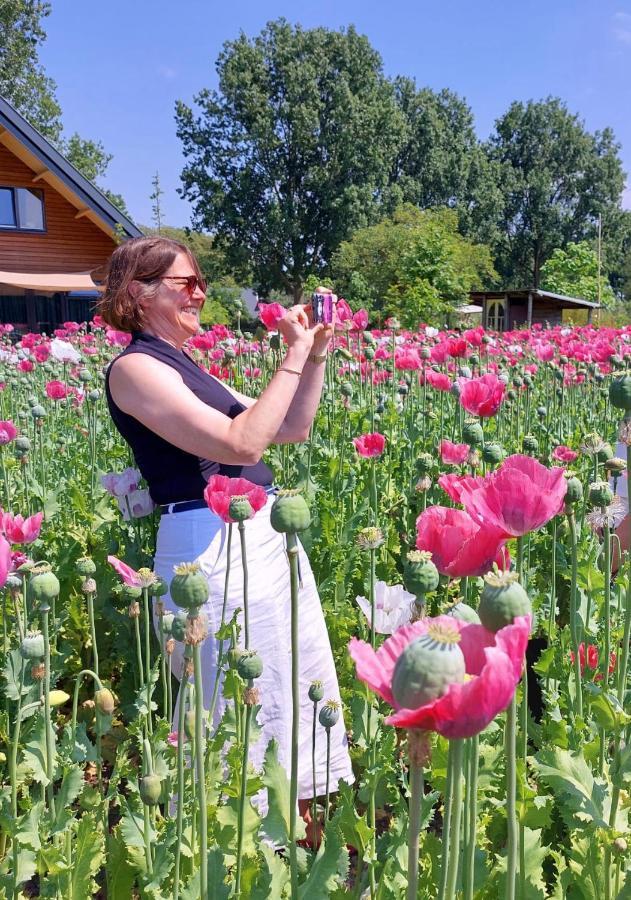 Gastenverblijf Op De Prins Hendrik Hoeve In Buren Buren  Екстер'єр фото